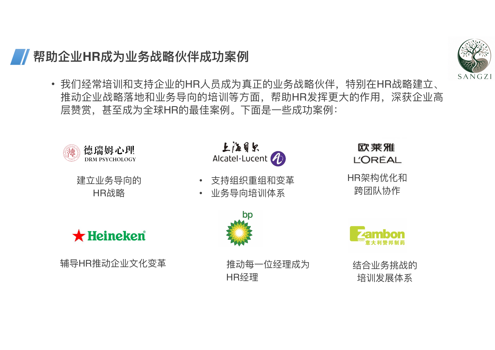 帮助企业 HR 成为业务战略伙伴成功案例